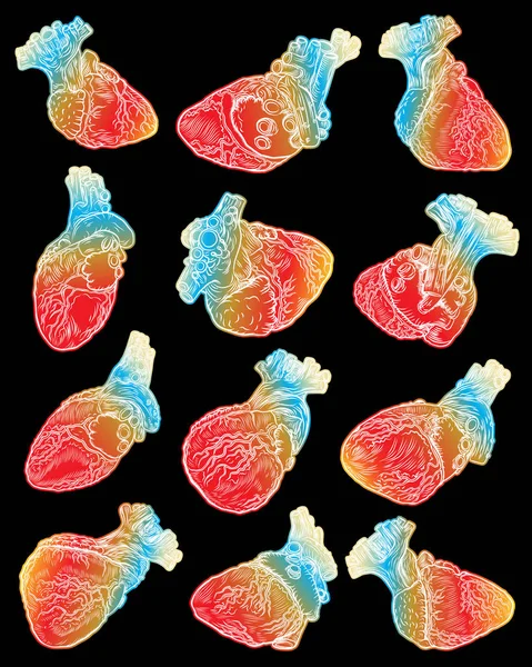 人的心的集合 手绘的肉体纹身概念象征着爱情 解剖细节与静脉 Shirt — 图库矢量图片