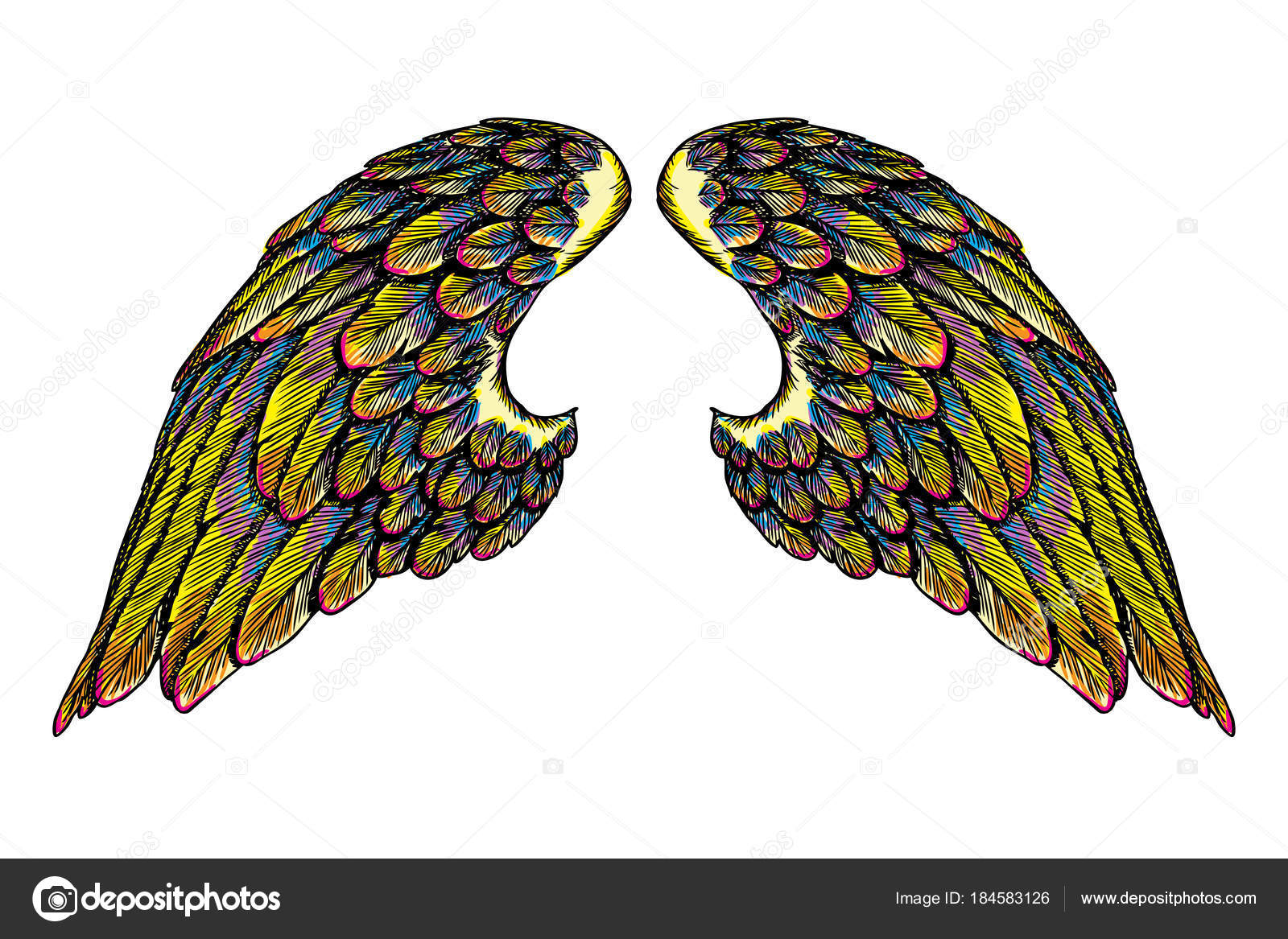 천사의 날개에 밖으로 화려한 에칭된 빈티지 스타일 날개의 화려한 확산입니다 스톡 벡터 - ©goldenshrimp 184583126, image size:1600x1167