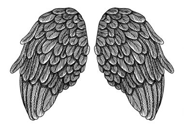 Ve güzel kanatlar yaymak. Elle çizilmiş gravür vintage tarzı çift kanat koleksiyonu vektör kazınmış.