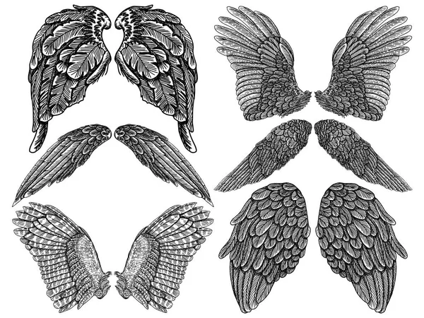 Пара Крил Встановлена Рука Намальована Детальною Пташкою Ангельськими Крилами Векторні — стоковий вектор