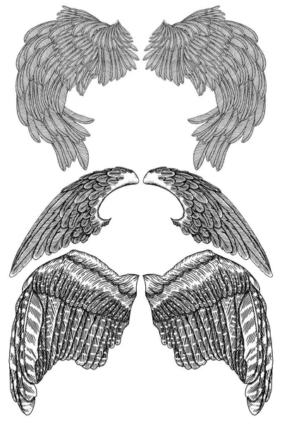 Геральдические Крылья Татуировки Дизайна Талисмана Изолированные Векторные Иллюстрации — стоковый вектор