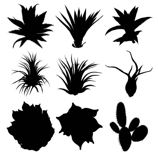 Schwarze Silhouetten Von Kakteen Agave Aloe Und Kaktusfeige Kakteenset Vorhanden — Stockvektor