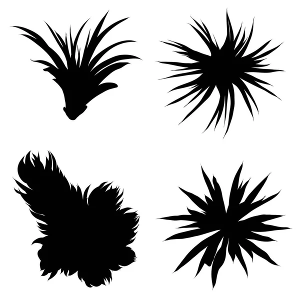 Silhouettes Noires Succulents Cactus Ensemble Design Tropical Tendance Pour Textile — Image vectorielle