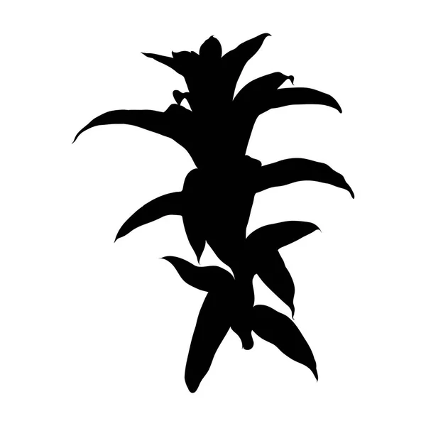 Schwarze Silhouette Einer Saftigen Kakteenpflanze Handgezeichnete Blume Exotische Florale Illustration — Stockvektor