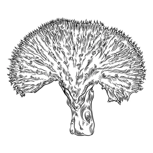 野生のサボテン 手描きのとげのあるサボテン テラリウム多肉の花 野生花 エキゾチックな熱帯植物 ベクトル — ストックベクタ