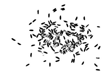 Beyaz pirinç rasgele desen arka plan. Pirinç tohumlar üzerinde beyaz backgr