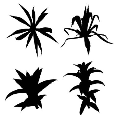 Siyah siluetler kaktüs moda tasarım ayarlayın. Kaktüsler ruh hali collecti