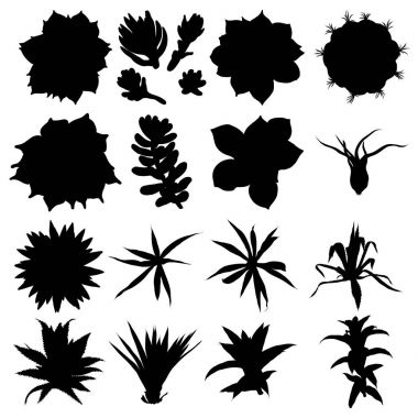Siyah siluetler kaktüs moda tasarım seti. 
