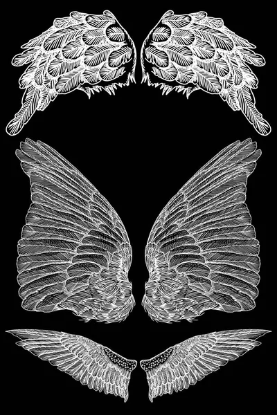 天使或鸟的翅膀设置。孤立的素描矢量图. — 图库矢量图片
