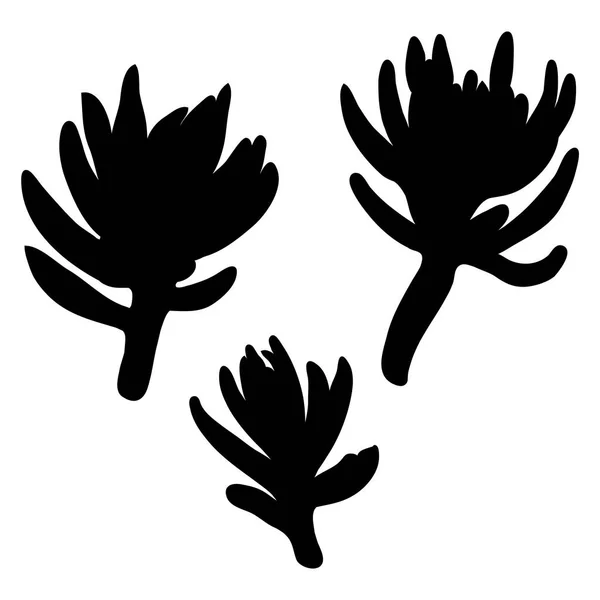 Černé siluety sukulentní kaktusový květ, ručně tažené terrari — Stockový vektor