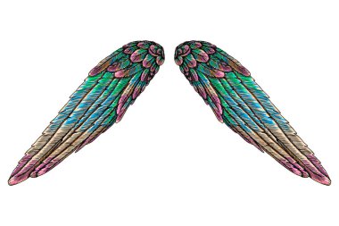 Kutsal renkli kuş kanatları açık konumda farklı şekil 