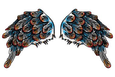 Beyaz arka plan üzerinde izole vintage renkli kanatlar. Tasarımı YYK