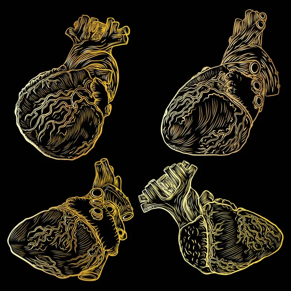 ゴールドの解剖学人間の心ポスター コンセプト、場所カード d セット — ストックベクタ