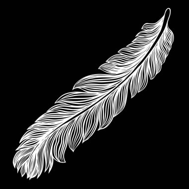 Kabile dekoratif kuş tüyleri, elle çizilmiş. Vektör.