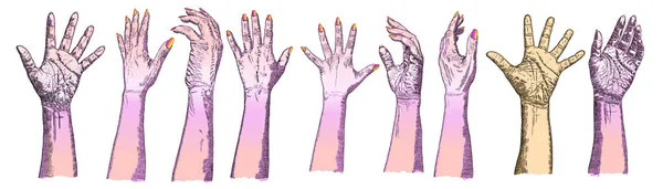 Vari gesti di mani umane. Mani femminili disegnate a mano in diff — Vettoriale Stock