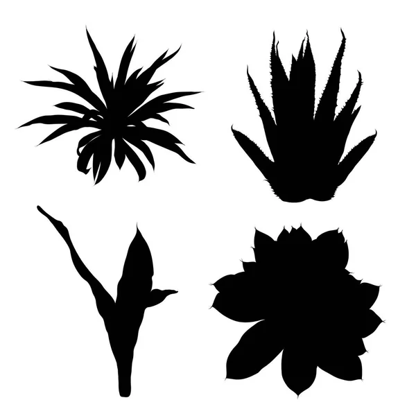 Silhouettes noires décor de mode cactus. Cactus mood collecti — Image vectorielle