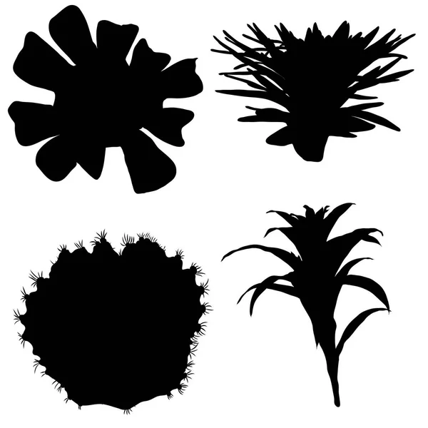 Silhouettes noires de succulents et de cactus ensemble. Trendy tropica — Image vectorielle