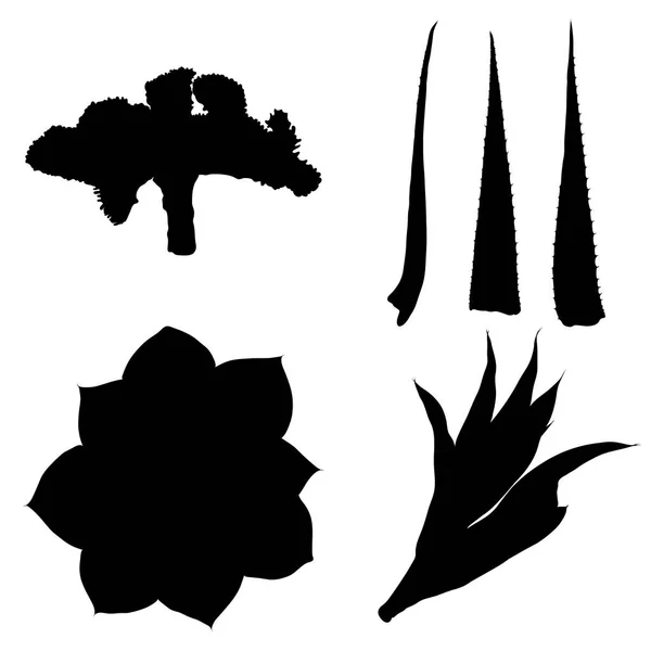 Ορίστε μαύρες σιλουέτες χέρι συρμένο κάκτων. Εξωτικά φυτά της ερήμου — Διανυσματικό Αρχείο