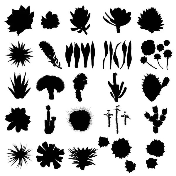 Zwarte silhouetten van cactus, agave, Aloë en prickly pear. Cact — Stockvector