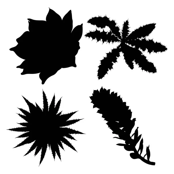 Uppsättning av svarta silhuetter kaktusar, — Stock vektor