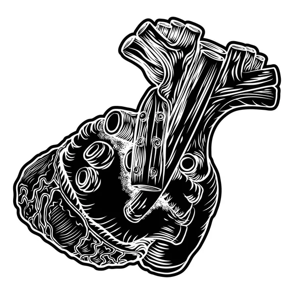 Beyaz ve siyah insan elinde çizilmiş stil kalp. Anatomik kaşar