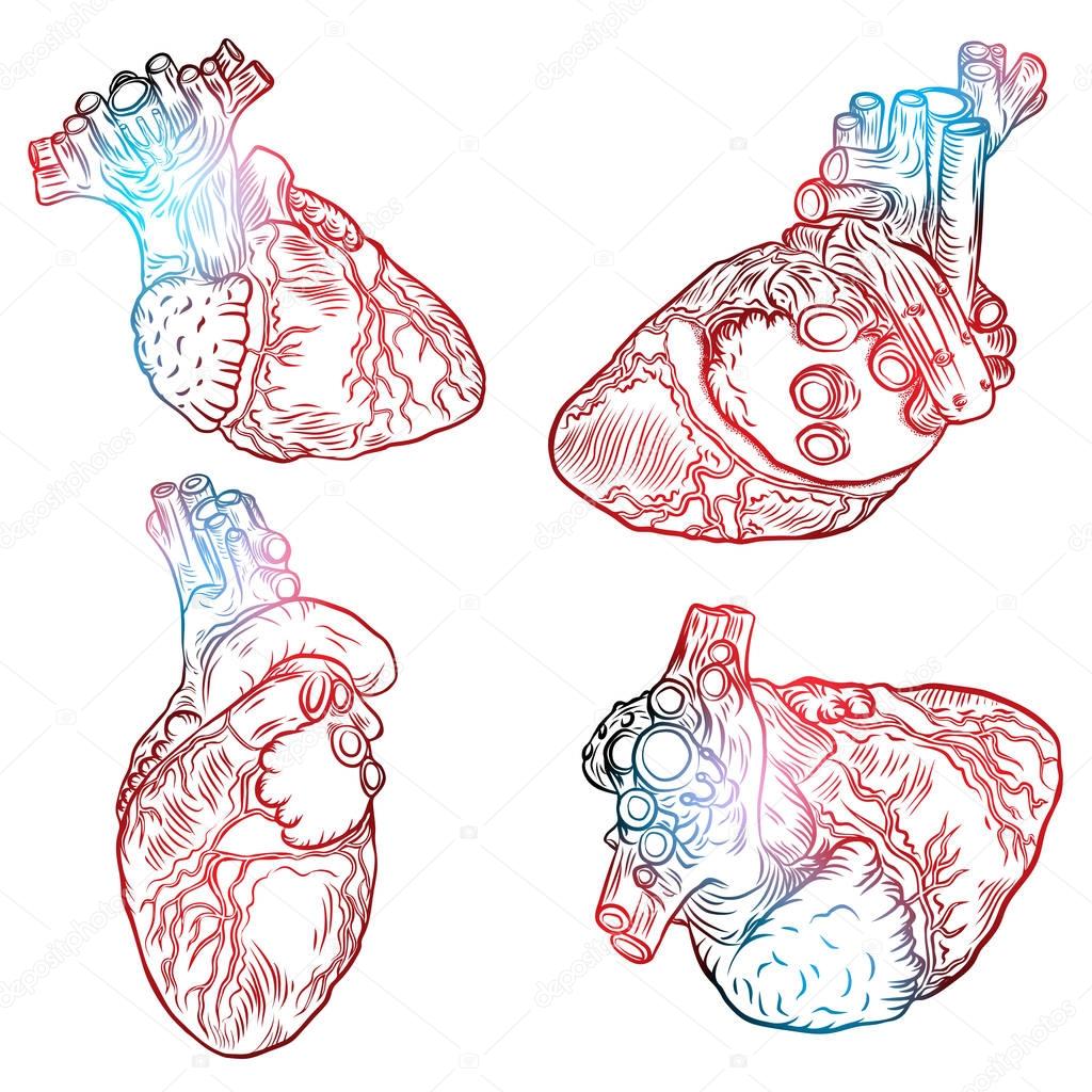Set of hearts hand drawn isolated on background. Hand drawn anat