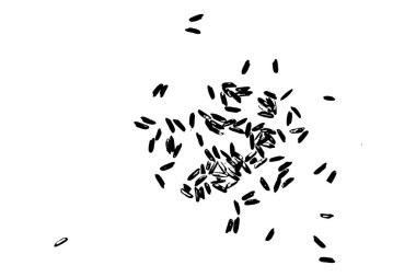 Beyaz pirinç rasgele desen arka plan. Pirinç tohumlar üzerinde beyaz backgr