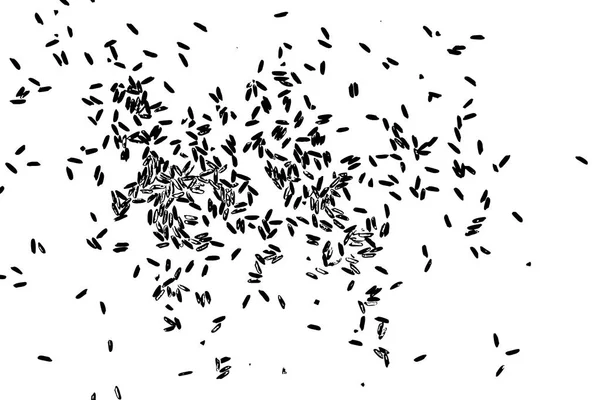 Concept de grain de riz simple motif jeté au hasard sur le fond — Image vectorielle
