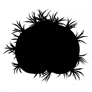 Siyah siluetler vahşi kaktüs. Elle çizilmiş dikenli kaktüs. Terr