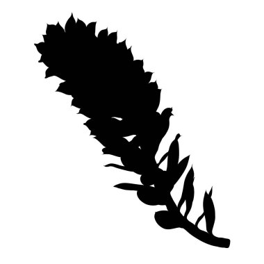 Etli kaktüs çiçek, siyah siluetler el çekilmiş terrari