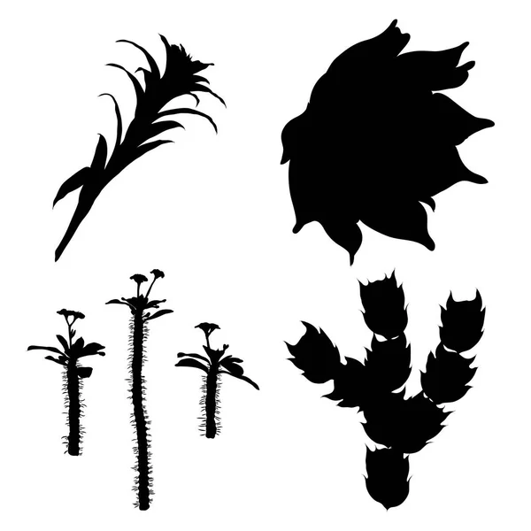 Schwarze Silhouetten Kaktus Mode Bühnenbild. Kakteen Stimmungssammler — Stockvektor