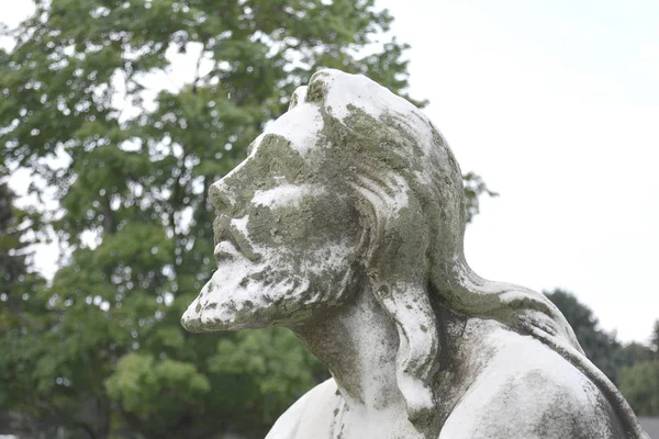 Gedetailleerd beeld van Jezus Christus portret. Onderdeel van standbeeld. Jes — Stockfoto