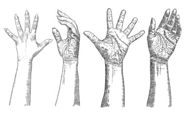 Kadın hareketleri ellerin beyaz bir arka plan üzerinde ayarlayın. Elle çizilmiş. V