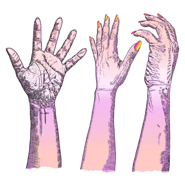 Verschillende gebaren van menselijke handen. Hand getekende vrouwelijke handen in diff — Stockvector