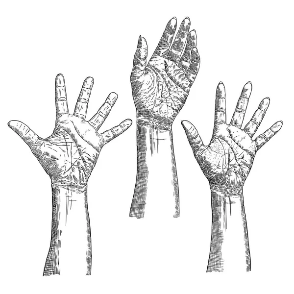 Σύνολο των χεριών με διαφορετικές κινήσεις και τα συναισθήματα. Απομονώνεται σημάδια χέρι — Διανυσματικό Αρχείο