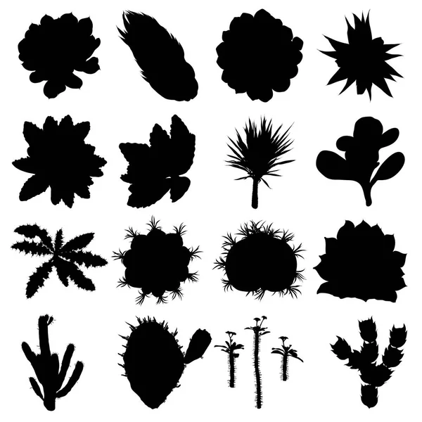 Siyah siluetler kaktüs, agav, aloe ve inciri. Cact — Stok Vektör
