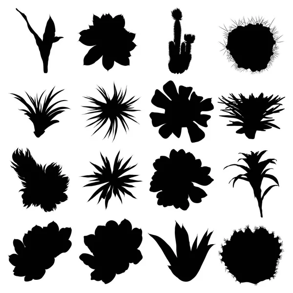 Conjunto de cactus siluetas negras. Plantas dibujadas a mano. Flor exótica s — Vector de stock