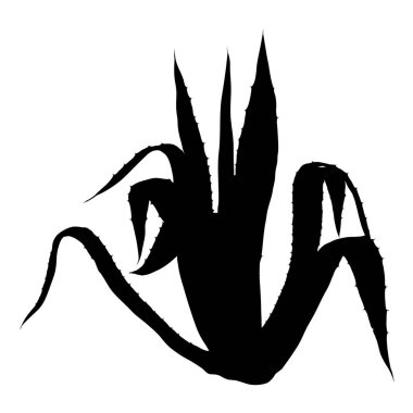 Siyah siluetler vahşi kaktüs. Elle çizilmiş dikenli kaktüs. Terr