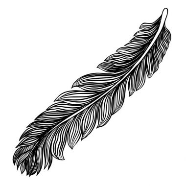 Kabile dekoratif kuş tüyleri, elle çizilmiş. Vektör.