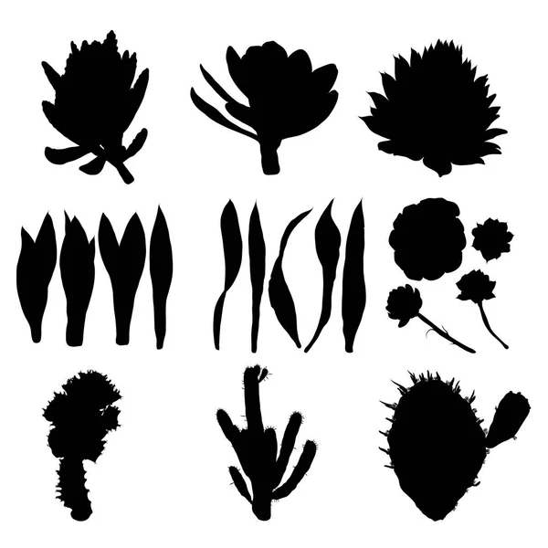 Schwarze Silhouetten von Kakteen, Agave, Aloe und Kaktusfeige. Pakt — Stockvektor
