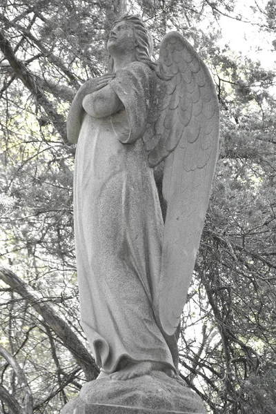 Ángel triste como símbolo de la eternidad, la vida, la muerte y la otra vida. Vi. —  Fotos de Stock