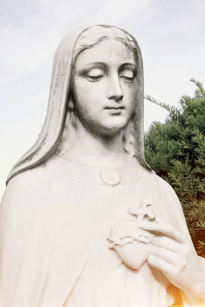 Szűz Mária szívében. Szűzanya Szűz Mária Szeplőtelen szívének. B — Stock Fotó