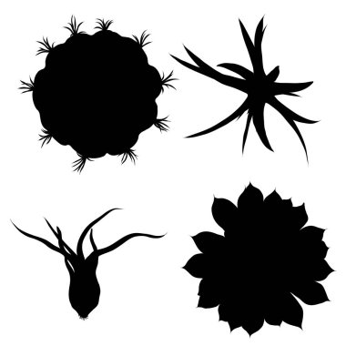 Siyah siluetler kaktüs, agav, aloe ve inciri. Kaktüsler ayarlayın. Vektör.