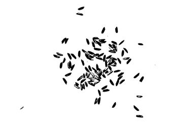 Beyaz pirinç, beyaz zemin üzerine siyah. Organik doku. Silhou