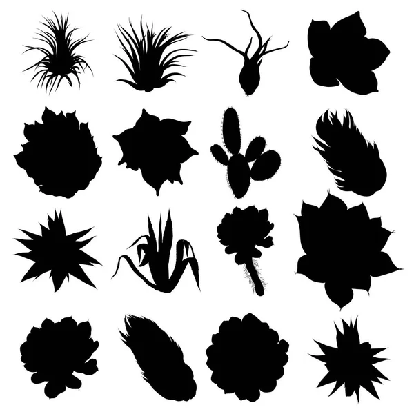 Czarne sylwetki Kaktus, Agawa, aloesu i Kolczasta gruszka. CACT — Wektor stockowy