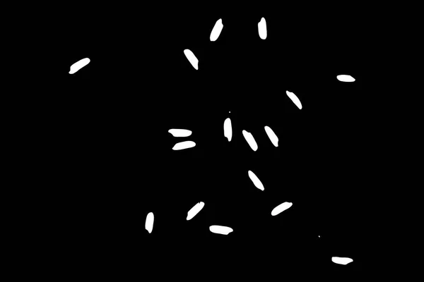 有機混合スロー米爆発。米の背景のテクスチャ — ストックベクタ