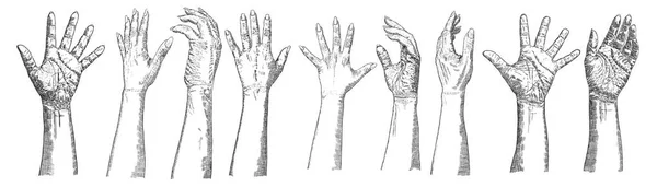 Set of hand drawn hands. Vector. — Stock Vector