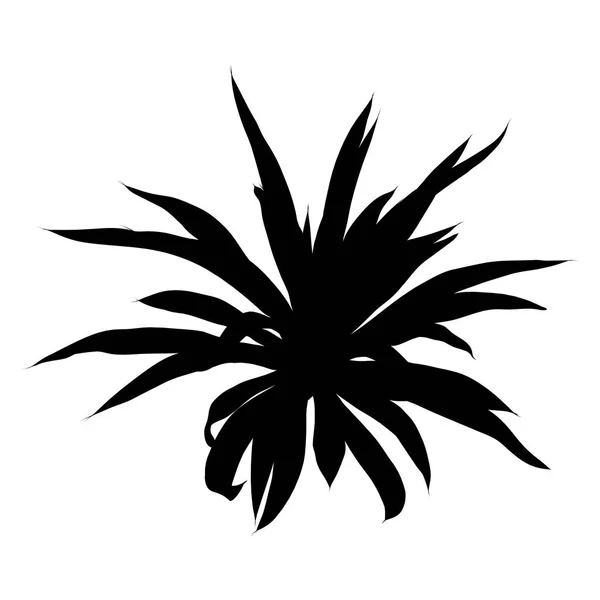 Siluetas negras de flor de cactus suculento, terrari dibujado a mano — Vector de stock