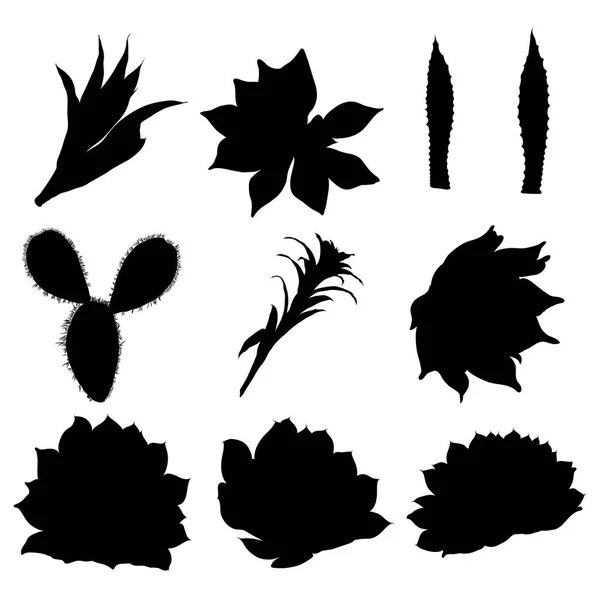 Gladiolus silhouettes collection — Stock Vector © Dr.PAS 6649612
