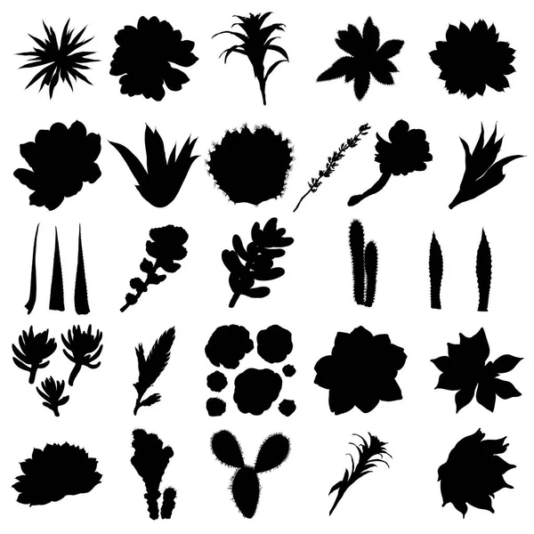 仙人掌, 龙舌兰, 芦荟, 和有刺梨的黑色剪影。脚手架 — 图库矢量图片